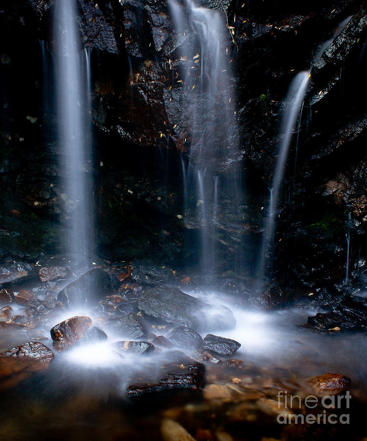 Streams of Light Photograph by Steven Reed