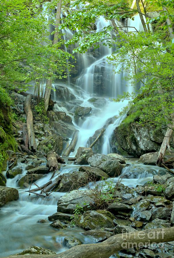 Shenandoah National Park Photograph - Streams Through The Trees by Adam Jewell