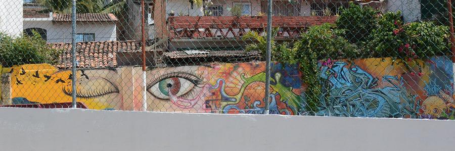 Street art of Mexico Photograph by Ellery Russell