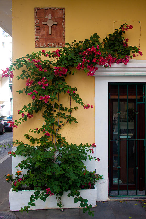 Flower Photograph - Street corner in Old San Juan by Frank Tozier