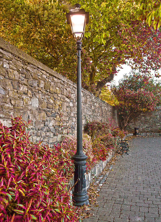 Fall Pyrography - Street Lamp by Alex Art