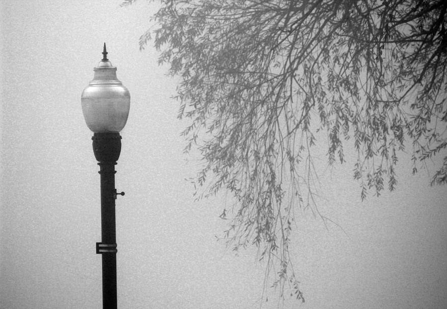Street Lamp in Fog Photograph by Mary Bedy