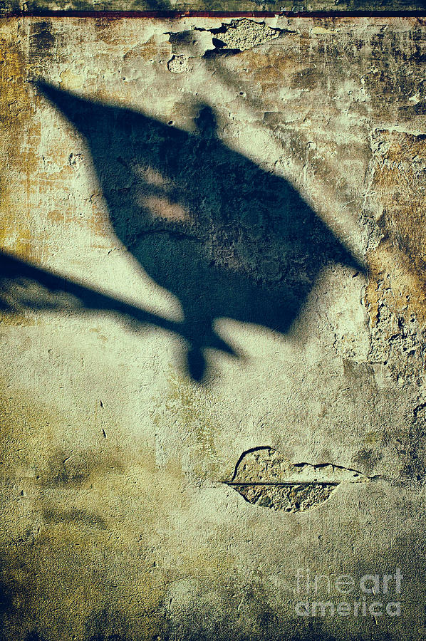 Street lamp shadow Photograph by Silvia Ganora