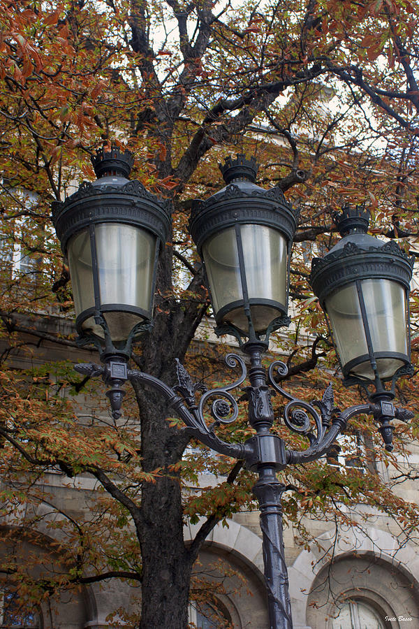 Street Lamps Photograph by Ivete Basso Photography
