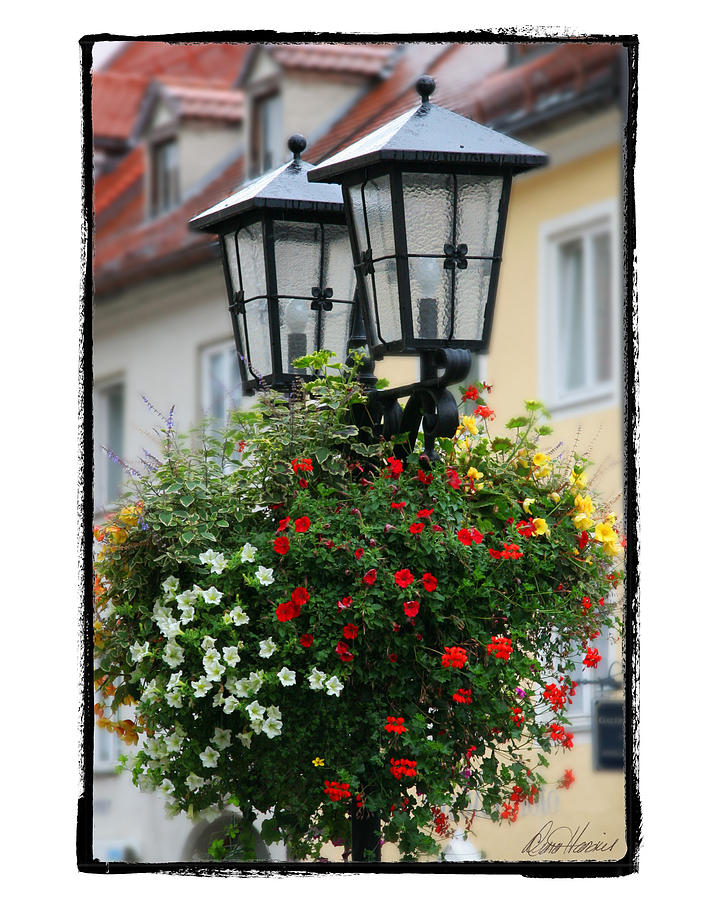 Street Lights in Germany Photograph by Diana Haronis