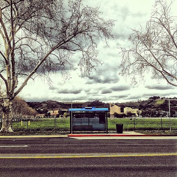 Instagram Photograph - ...street Photography (35) #busstop by Tyrone Stokes