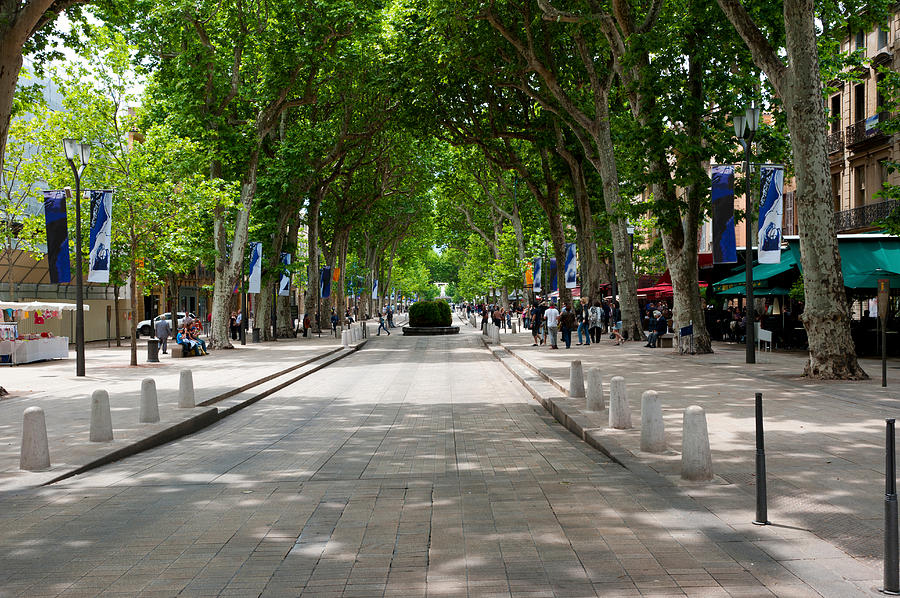 Street Scene, Cours Mirabeau Photograph by Panoramic Images