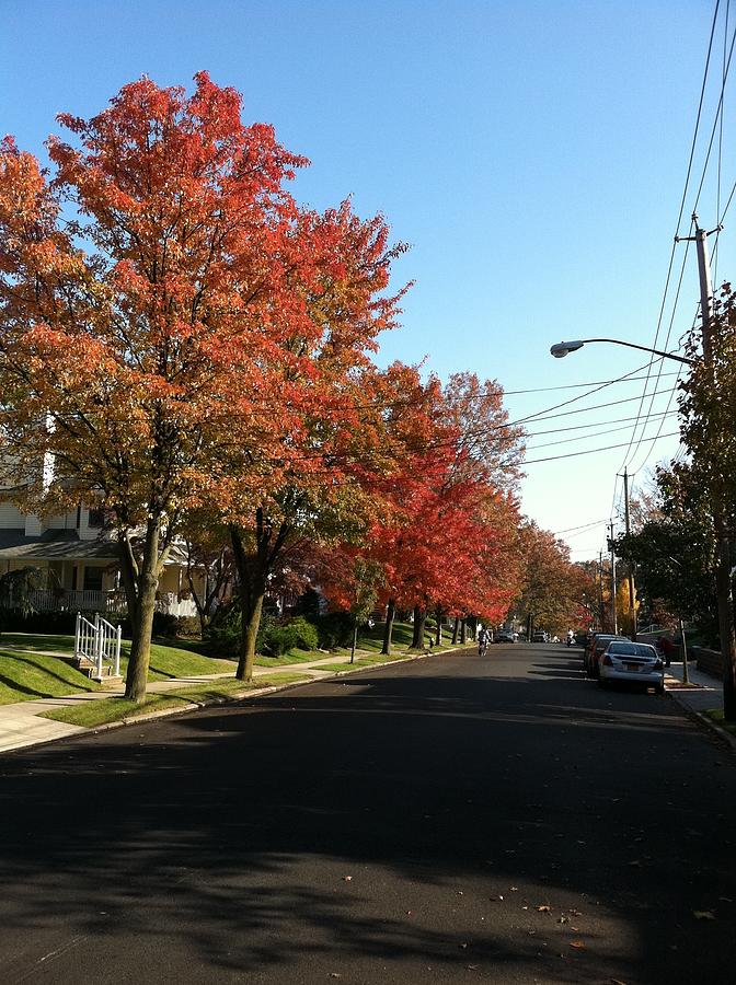 Street view Staten Island Photograph by Kenneth Cole