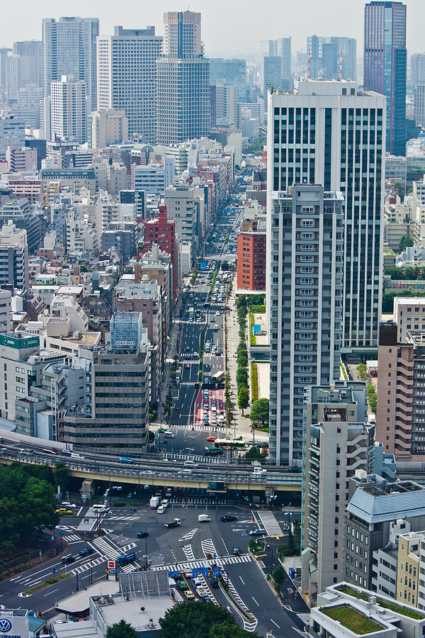 Street View Tokyo Photograph by Scott Carruthers