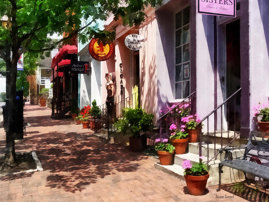 Alexandria VA - Street With Art Gallery and Tobacconist Photograph by Susan Savad