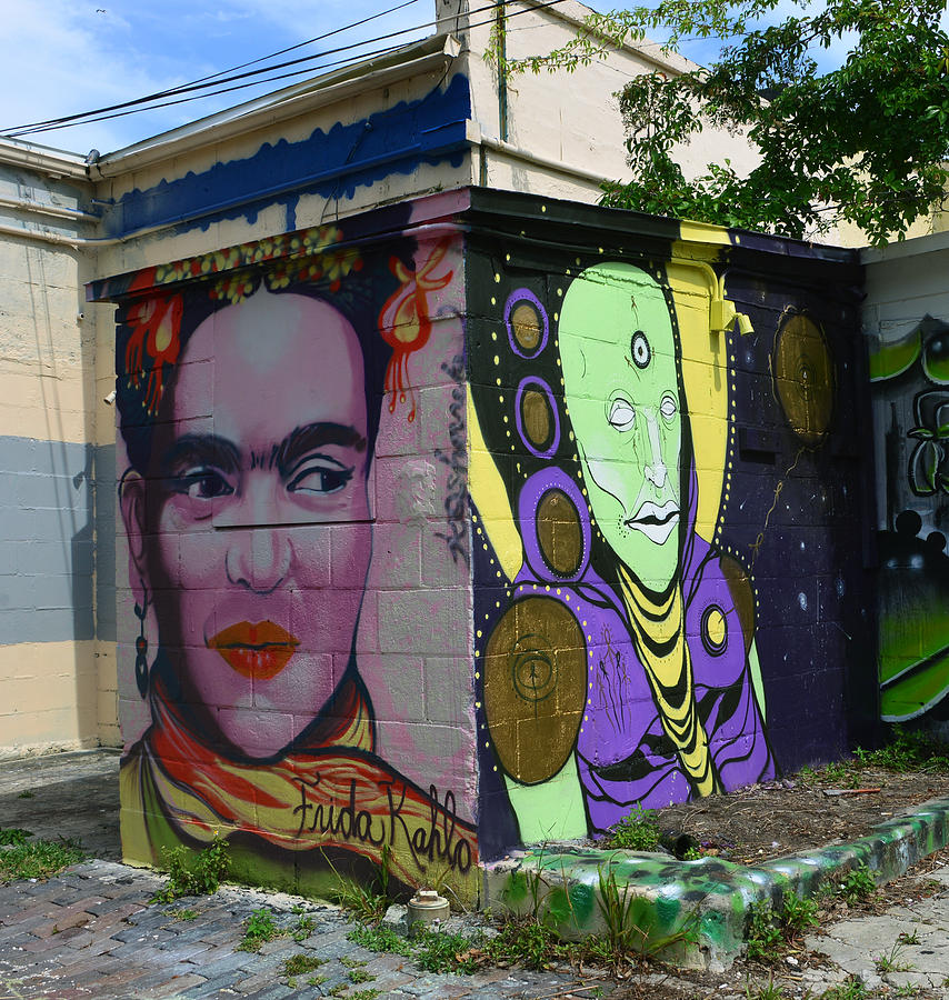 Frida Kahlo Photograph - Frida Kahlo and man street art by David Lee Thompson