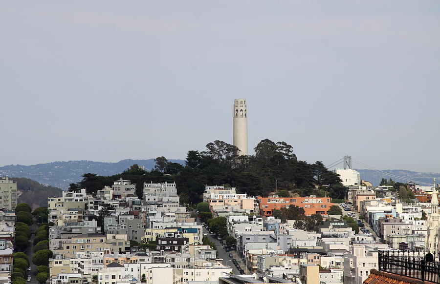 Streets Of San Francisco With Coit Tower Photograph by Christiane Schulze Art And Photography
