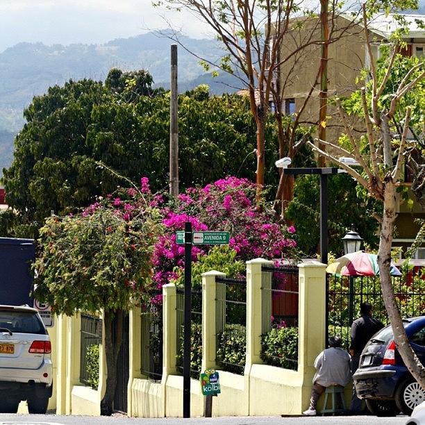 Mountain Photograph - #streets #sanjose #costarica #trees by Kayla  Pearson