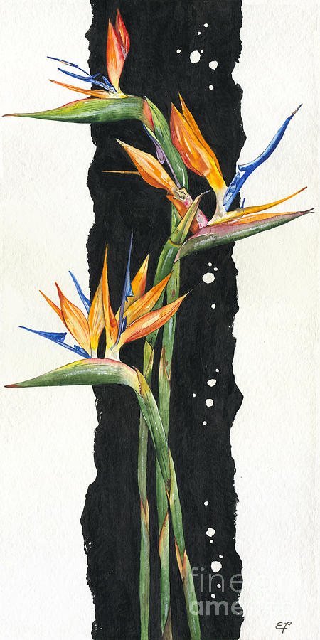 Flower Painting - Strelitzia - Bird Of Paradise 11 by Elena Daniel Yakubovich