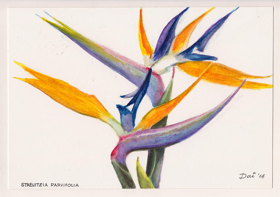 Strelitzia Flowers Painting by Dai Wynn