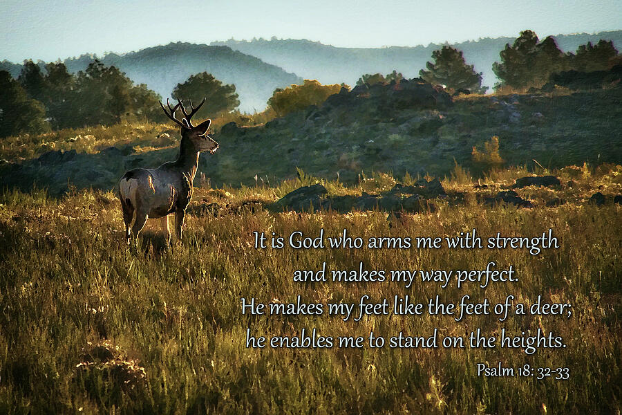 Deer Photograph - Strength From God by Priscilla Burgers