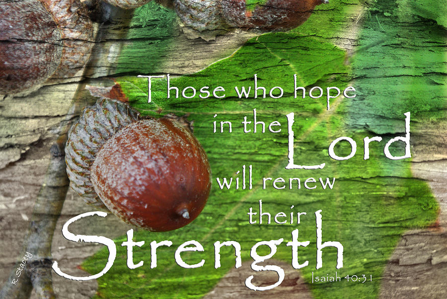 Fall Photograph - Strength in the Lord by Robyn Stacey