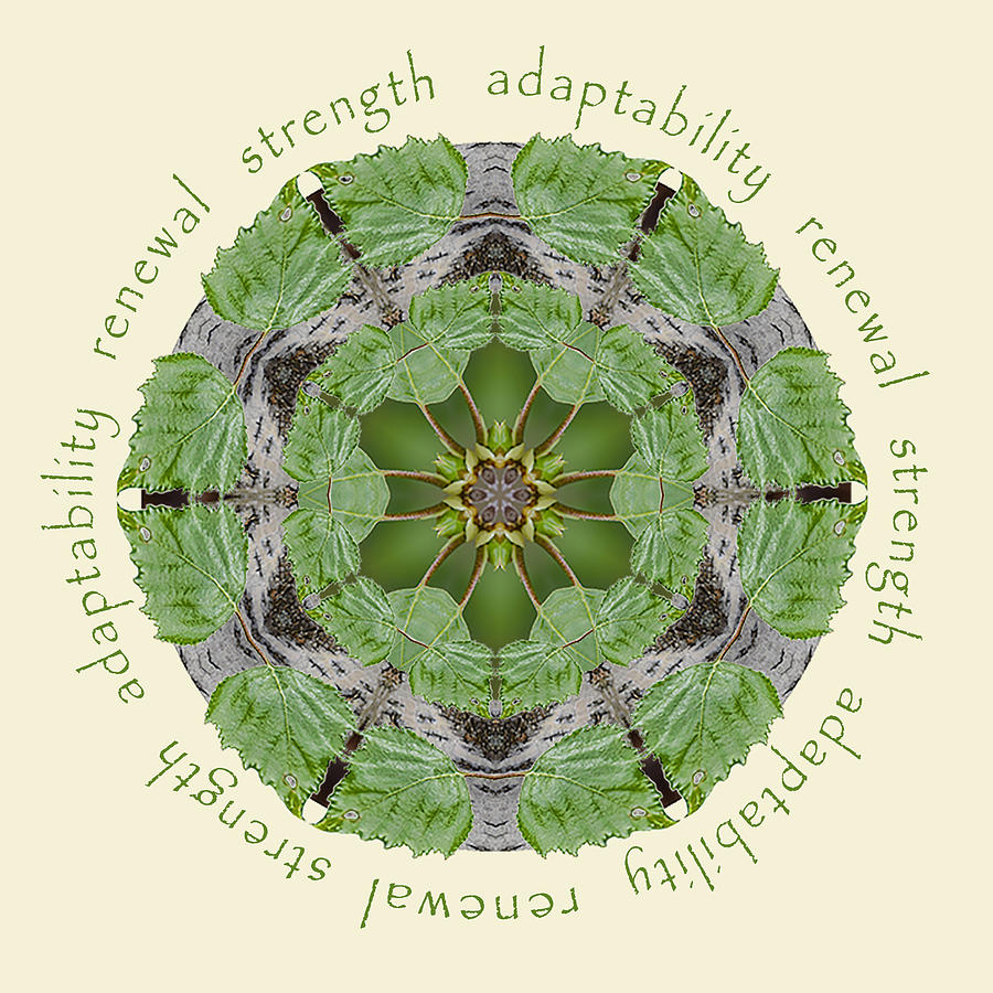 Strength Mandala 1 Photograph by Beth Sawickie