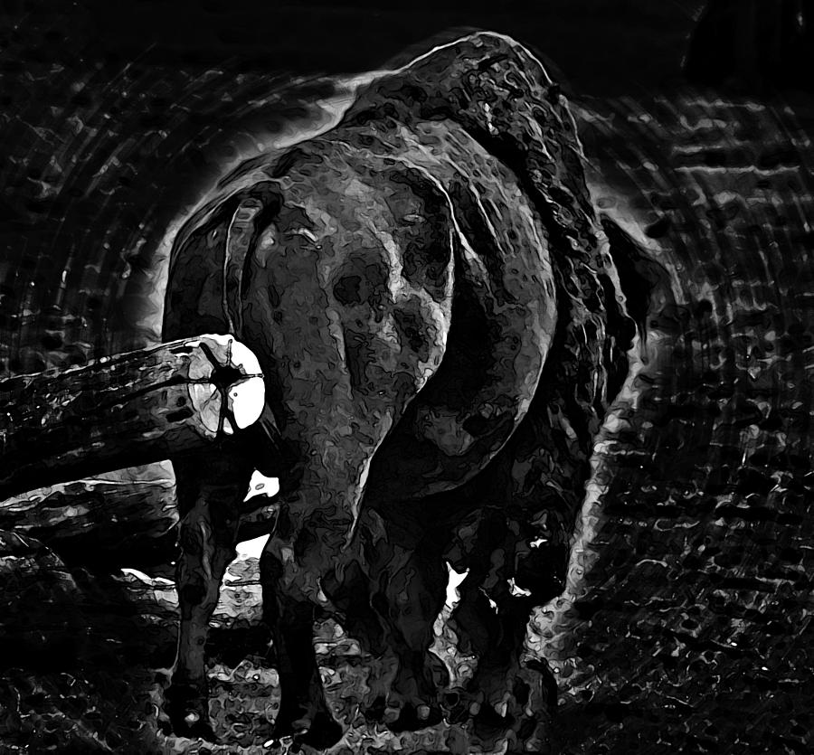 Bison Photograph - Strength Of One by Miroslava Jurcik