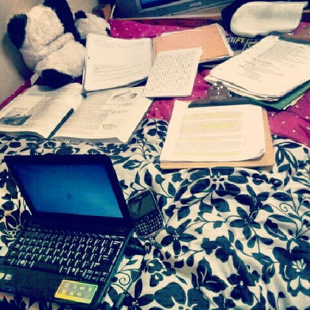Nosleep Photograph - #stressing #studying #headache #finials by Lusharra Womack