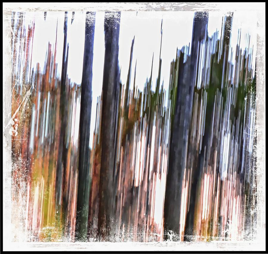 Abstract Photograph - Striation by Marcia Lee Jones