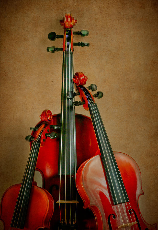 Stringed Trio Photograph by David and Carol Kelly