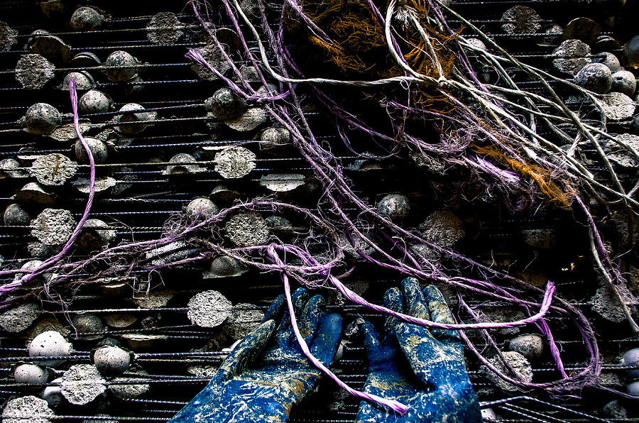 Strings and Things Photograph by Stephen Chambers Pixels