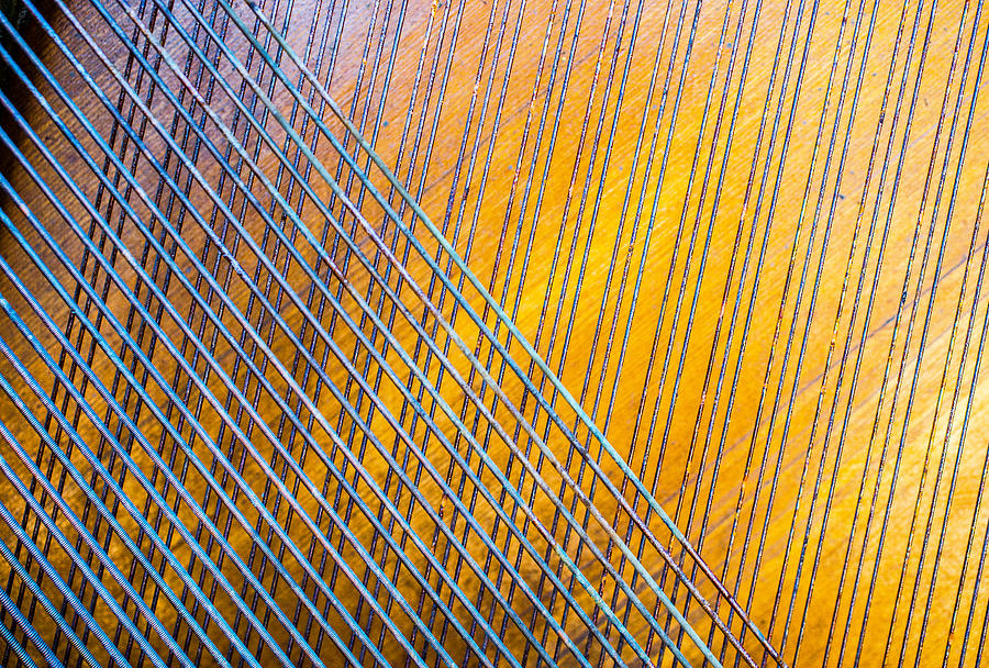 Piano Strings Photograph by David Downs