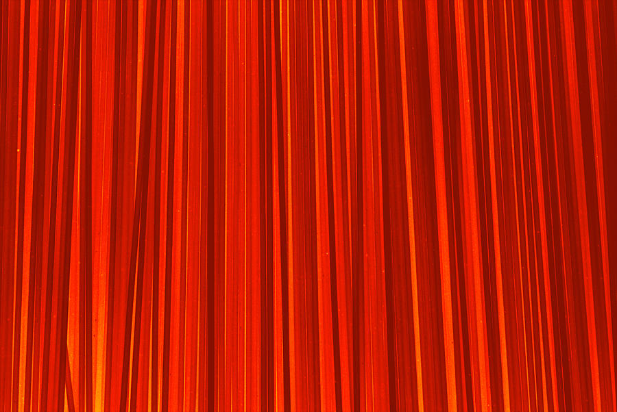 Striped Background Photograph by Chevy Fleet