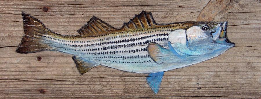 Striped Bass Painting - Striped Bass by Haldy Gifford