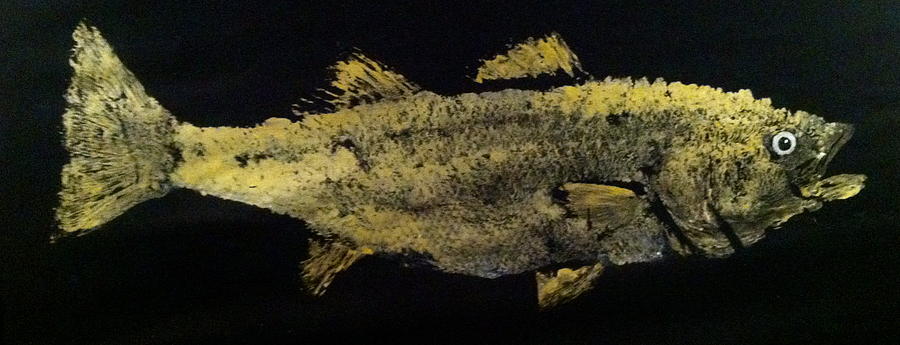 Striped Bass Mixed Media by Jeffrey Canha