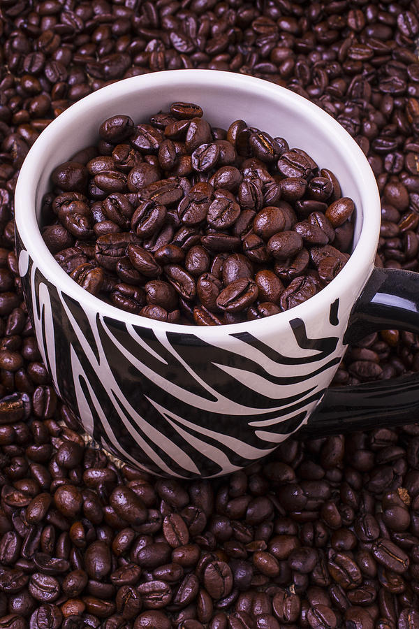Coffee Photograph - Striped Coffee Cup by Garry Gay