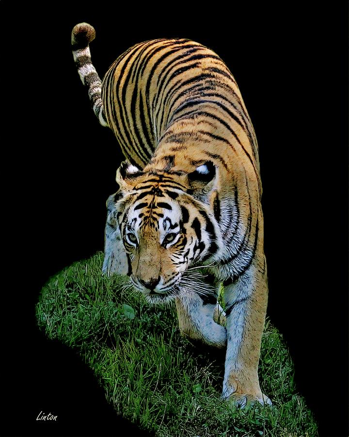 Striped Predator Digital Art by Larry Linton