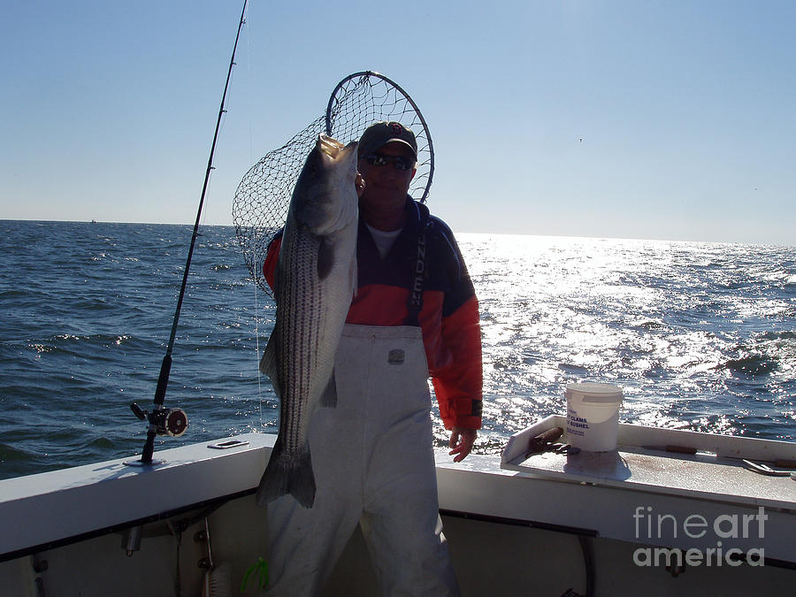 Striper Catch of the Day Photograph by John Telfer