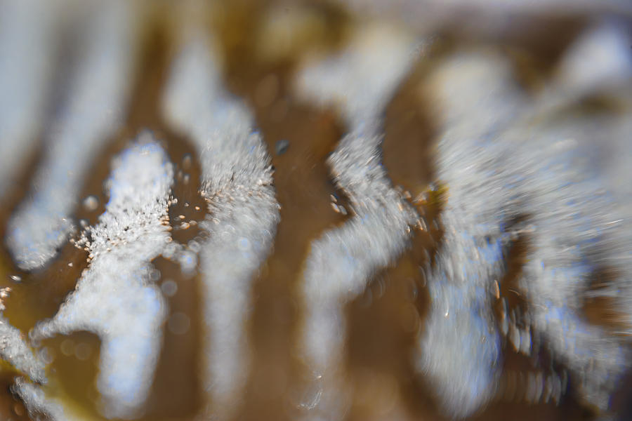 Abstract Photograph - Stripes in the Tide Pool 2 by Scott Campbell