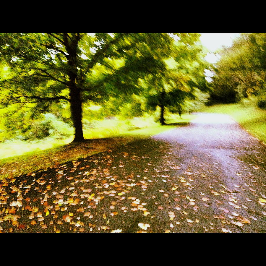 Stroll on an Autumn Lane Photograph by Angela Rath