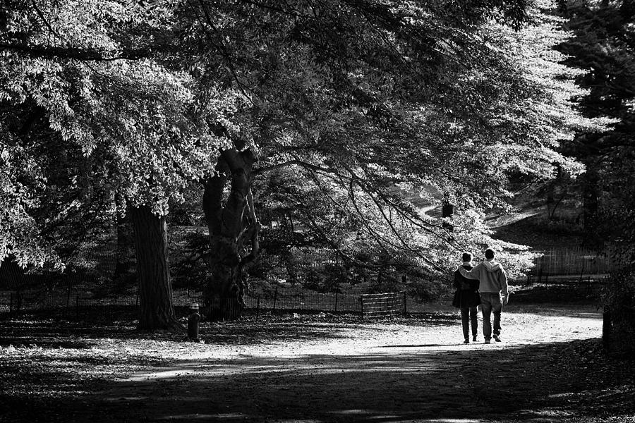 Strolling In The Park Photograph by Cornelis Verwaal