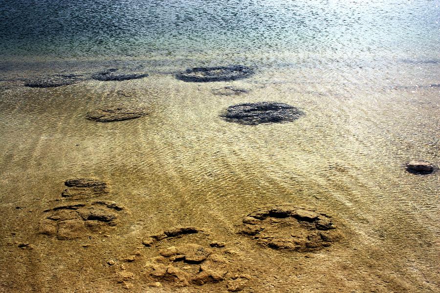 Stromatelite Rings in Western Australia by David Rich Stromatelite Rings in Western Australia by David Rich