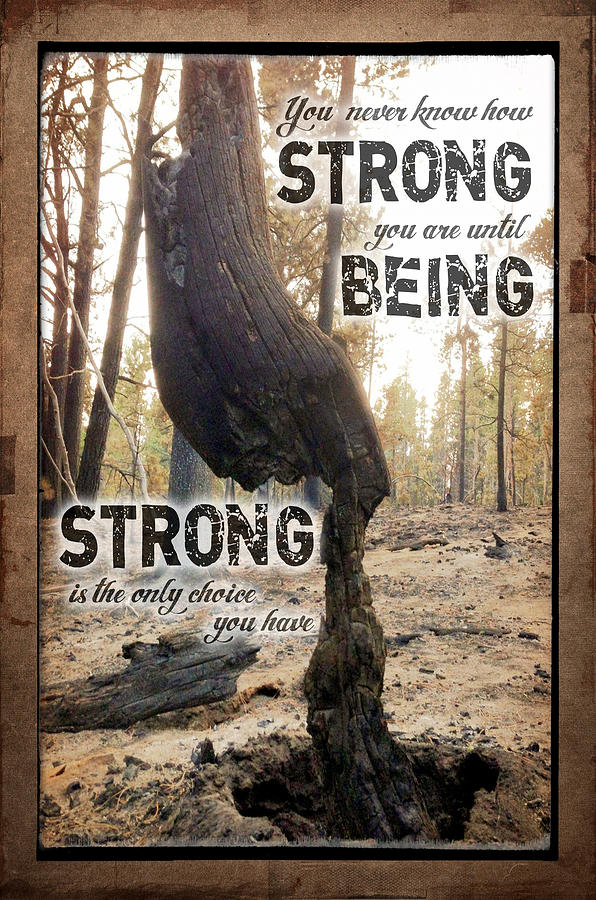 Strong Quote - Photo Art Photograph by Diane Mintle