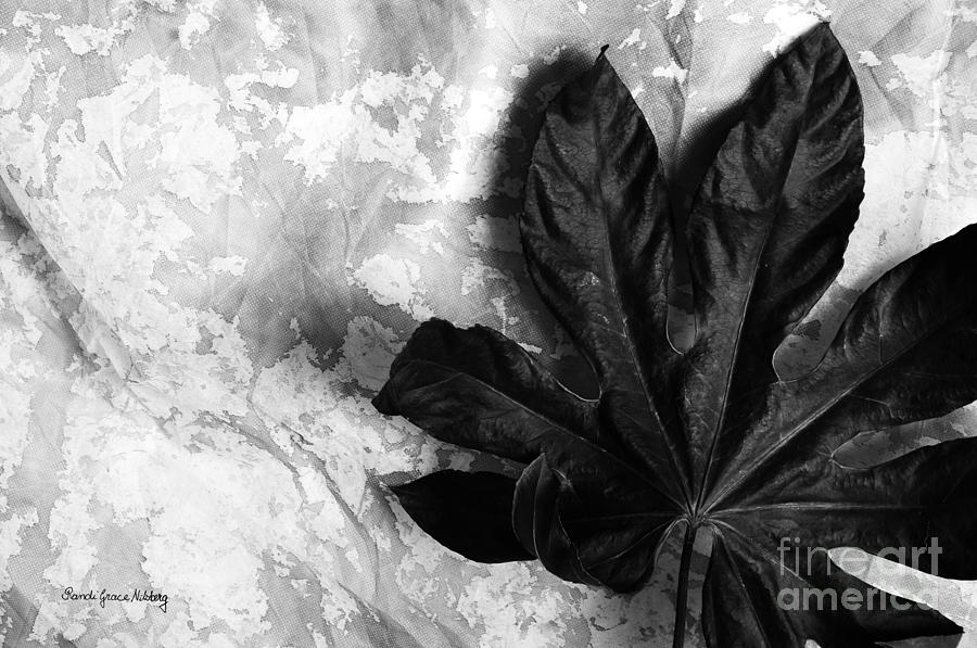 Leaf Photograph - Strong by Randi Grace Nilsberg