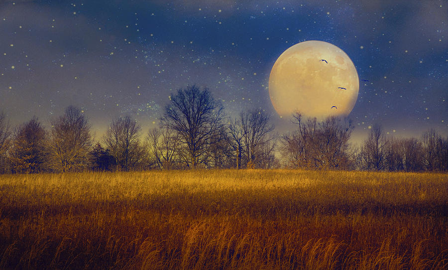 Struck by the Moon Photograph by John Rivera