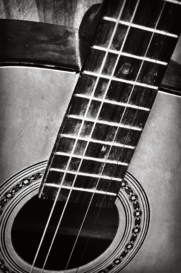 Strumming The Notes Photograph By Davina Washington - Fine Art America