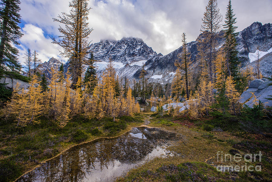 Stuart Range and Fall Colors Photograph by Mike Reid - Fine Art America