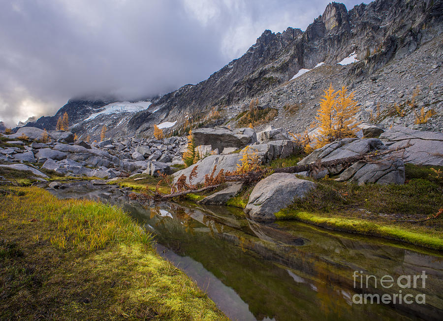 Mountain Photograph - Stuart Range Meadows Reflection by Mike Reid