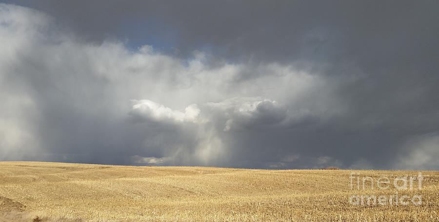 Stubble Field Rain Photograph by Caryl J Bohn