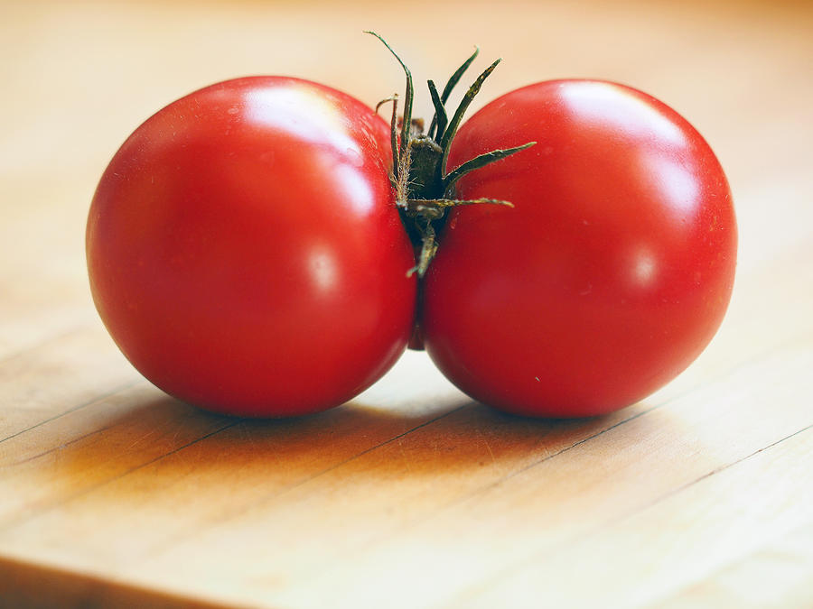 Tomato Photograph - Stuck Into It by Joe Schofield