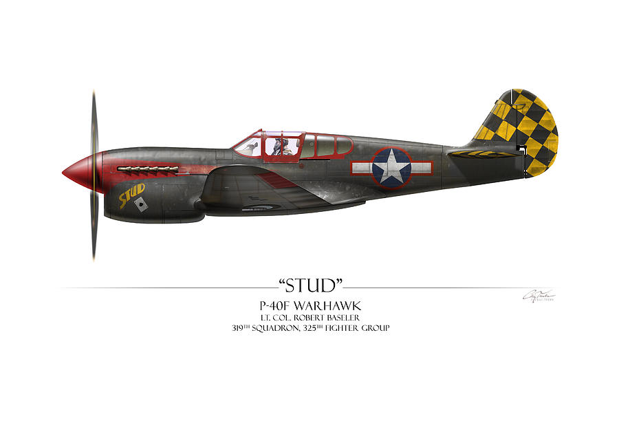 Hawk Painting - Stud P-40 Warhawk - White Background by Craig Tinder