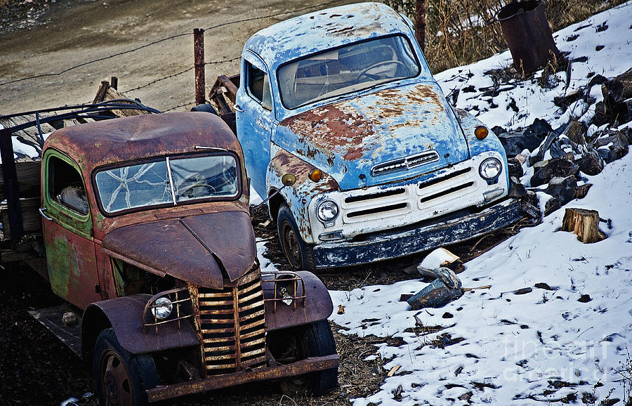 Studebaker and Ford at the Fence Photograph by Lee Craig
