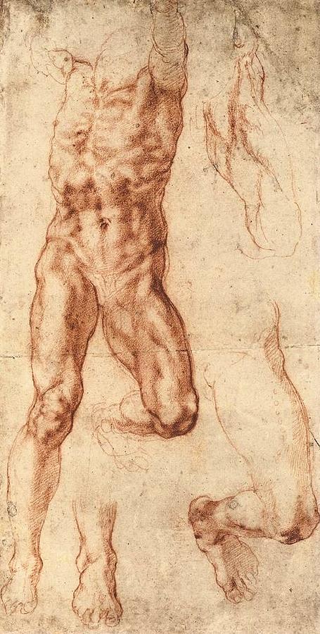 Michelangelo Painting - Studies for Haman by Michelangelo Buonarroti