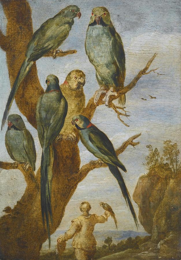 Flemish School Painting - Studies Of Birds by Celestial Images